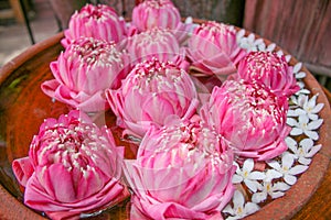 Floating decorative lotus flowers