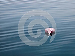 Floating Deflated Pink Heart Balloon In Lake