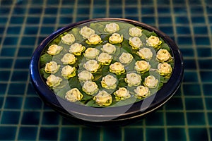 Floating display of lotus Buds in downtown Bangkok