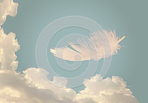 Floating feather over sky - lightness, freedom concept.