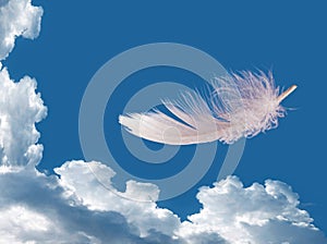 Floating feather over sky - lightness, freedom concept