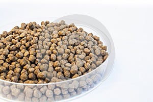 Floating Fish Feed Pellet photo