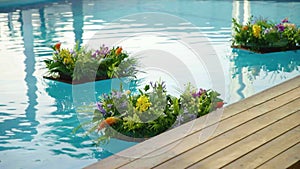 Floating flowers in the pool