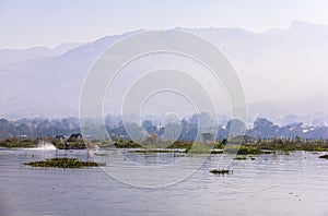 Floating Gardens of Inle Lake