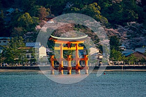 The floating gate of Itsukushima Shrine