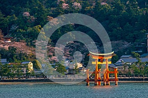 The floating gate of Itsukushima Shrine