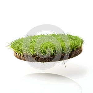 Floating grass slice isolated on white background