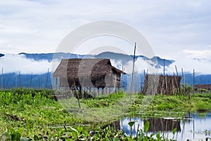 Floating houses on Inle Lake