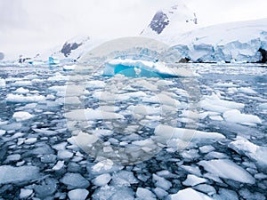 Floating ice floes, drift ice in Cierva Cove in Hughes Bay, Graham Land, Antarctica photo