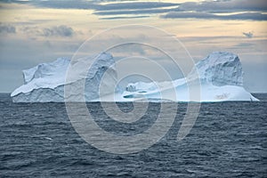 Floating Iceberg With A Colony Of Gentoo Penguins At Sunset In Bransfield Strait Near The Northern Tip Of The Antarctic Peninsula