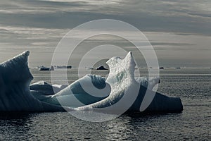 Floating icebergs