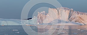 Floating icebergs in Disko Bay during the midnight sun