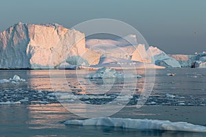 Floating icebergs in Disko Bay during the midnight sun