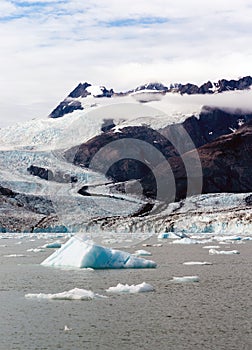 Floating Icebergs Pacific Ocean Aialik Bay Alaska North America