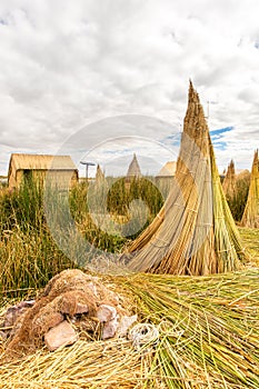 Floating Islands on Lake Titicaca Puno, Peru, South America, thatched home. Dense root that plants Khili