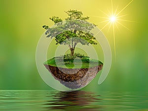 Floating islands with trees Lake river in the sky World Environment Day World Conservation Day environment