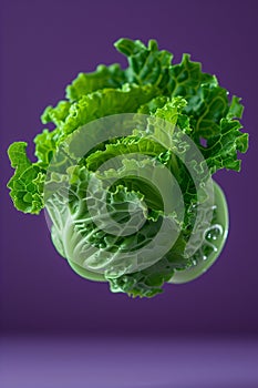 Floating Lettuce Over Purple - AI Generated