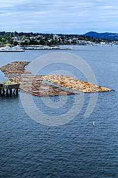 Floating Logs in Nanaimo