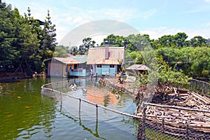 Floating market in Lembang, Bandung, Indonesia.