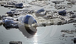 Floating melting ice floes in the coastal waters of the Baltic Sea