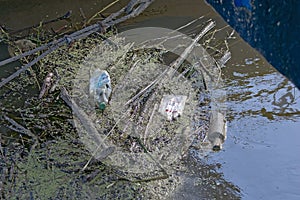 Floating old garbage in water, plastic bottles