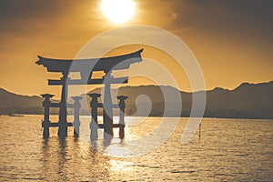 The Floating Otorii gate photo