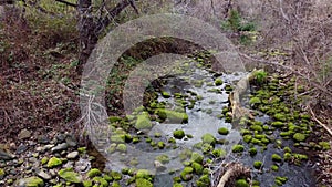 Floating over creek while looking down in winter with green moss covered rocks