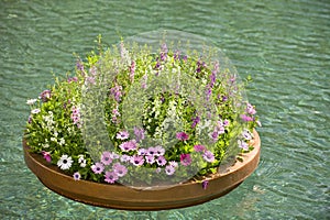 Floating planter of flowers photo