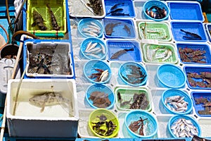 Floating Seafood Market at Sai Kung, Hong Kong