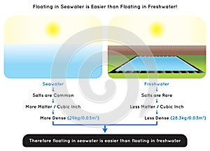 Floating in Seawater is Easier than Floating in Freshwater Infographic Diagram