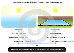 Floating in Seawater is Easier than Floating in Freshwater Infographic Diagram photo