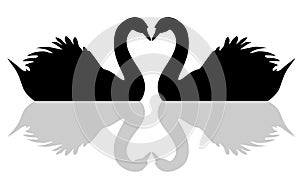 Floating swan love symbol