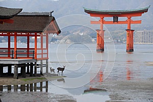Floating torii gate