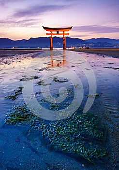 The floating Torii Gate, Miyajima island, Hiroshima, Japan