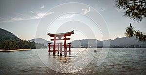 Floating Torii gate panorama on high tide