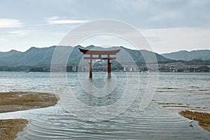 Floating Torii at Itsukushima Shrine