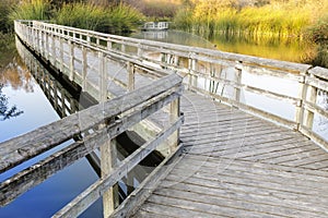 Floating Walkways at Neary Lagoon photo