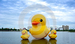 The floating yellow rubber ducks balloon float on the Nong Prachak lake