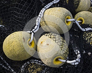 Floatings and net for fishing
