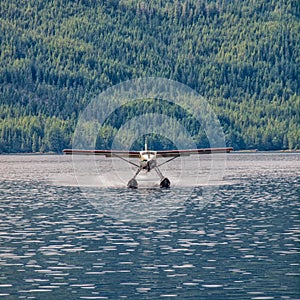 Floatplane landing on water