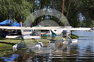 Floatplanes docked at shore