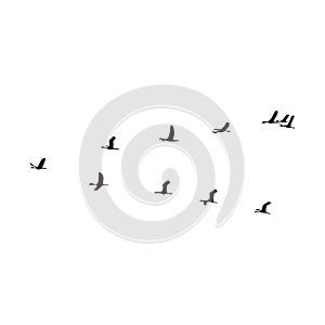 Flock of birds flying icon vector illustration design isolated