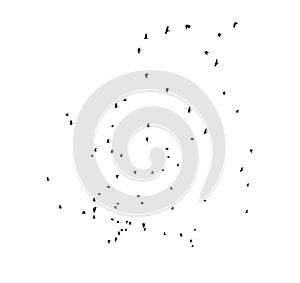 Flock of birds flying in the sky. Black silhouettes isolated on white background. Set of cut out shapes or graphic elements