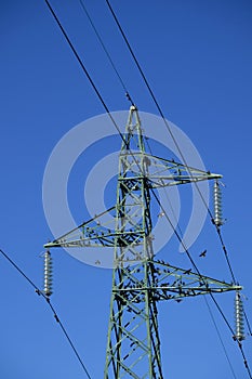 Flock of birds on high voltage pylon