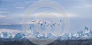 Flock of birds in a mountain landscape