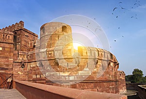 flock of birds over Red fort. India. Agra