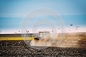 Flock Of Birds Of Seagull Flies Behind Tractor Plowing Field In