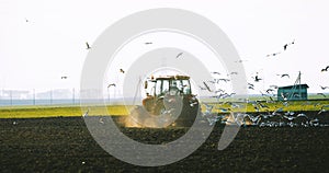 Flock Of Birds Seagulls Flies Behind Tractor Plowing Field In Spring Beginning Of Agricultural Season Slow Mo, Slow