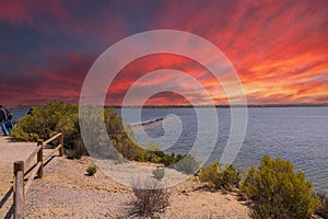 A flock of birds standing on a peninsula surrounded by vast blue rippling ocean water with red sky at sunset