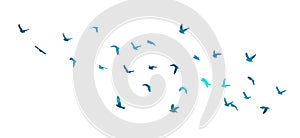 A flock of blue watercolor flying birds. Free birds abstraction. hand drawing. Not AI, Illustrat3. Vector illustration